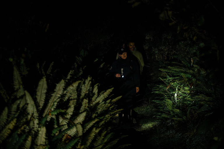 Stewart Island: Wild Kiwi Experiences Stewart Island: Wild Kiwi Encounter