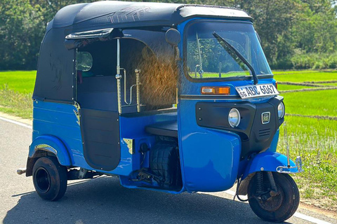 Ella: Tuk-Tuk-tur med Little Adam's Peak och vattenfall