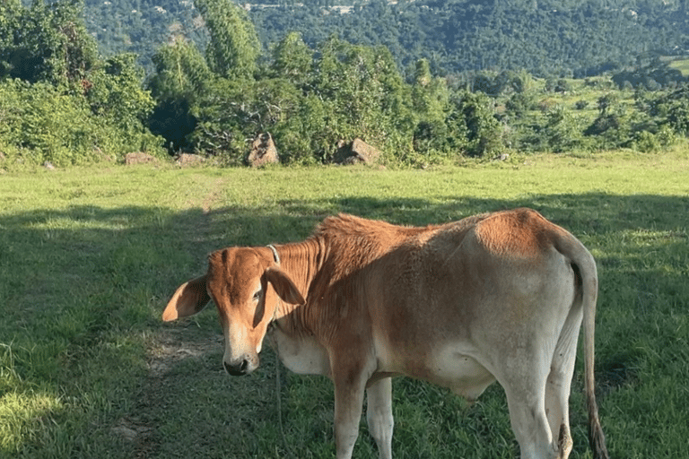 Cebu: Quick Hiking Trip Outside of the Concrete Jungle