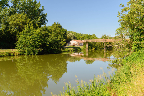 Marais Poitevin: jazda na rowerze w zielonej Wenecji