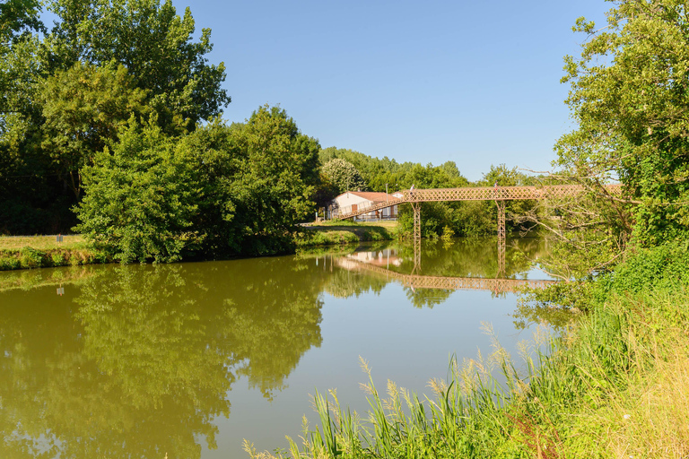 Marais Poitevin: jazda na rowerze w zielonej Wenecji