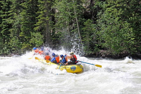 Golden, BC: Kicking Horse River Whitewater Rafting Adventure