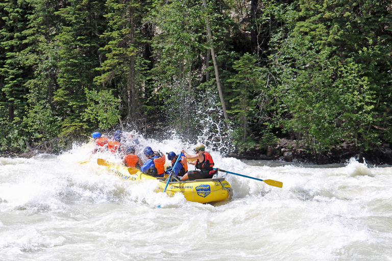 Golden, BC: Kicking Horse River Whitewater Rafting Adventure