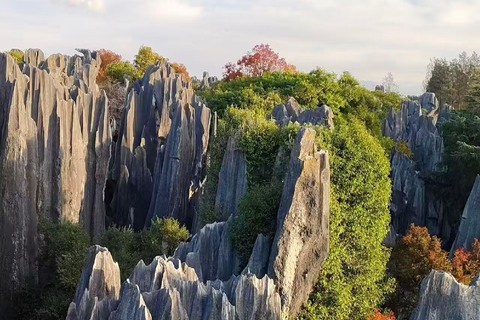 From Kunming: 8-Day Yunnan Private Cultural Tour