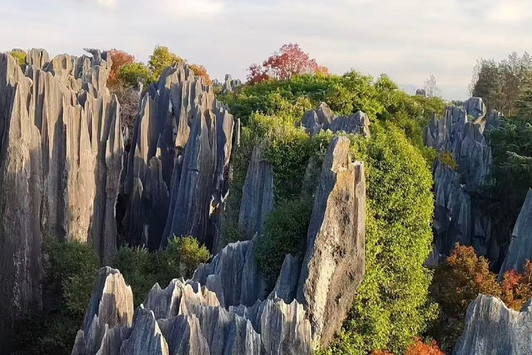 From Kunming: 8-Day Yunnan Private Cultural Tour