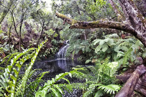 Au départ du Cap : 4 jours d'excursion de luxe sur la Route des jardins