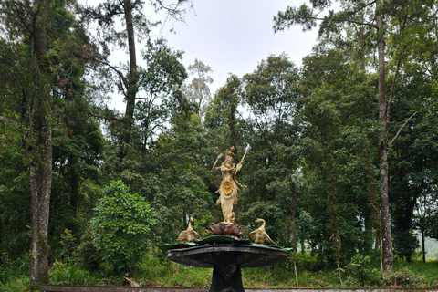 Yogyakarta: 4 Days, 3 Nights to Bromo, Ijen Crater, More