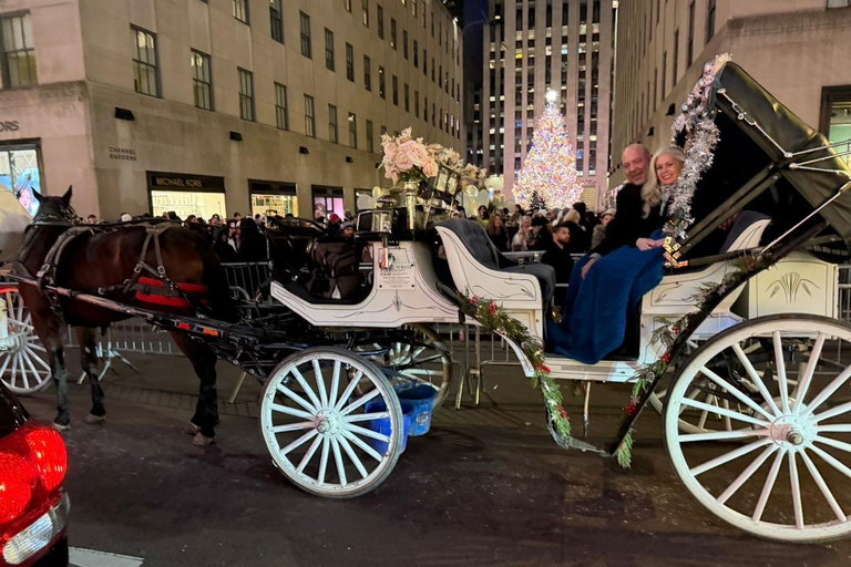 NYC: Central Park Christmas Lights Horse-Drawn Carriage Ride