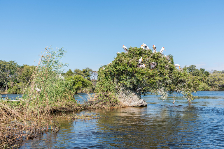 Flottfärd i övre Zambezi