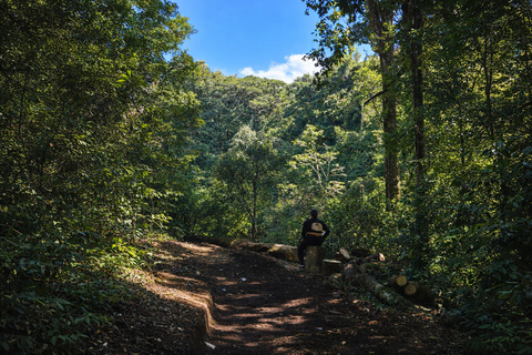 Monteverde: Roots of the Future Walk at Finca Lantana