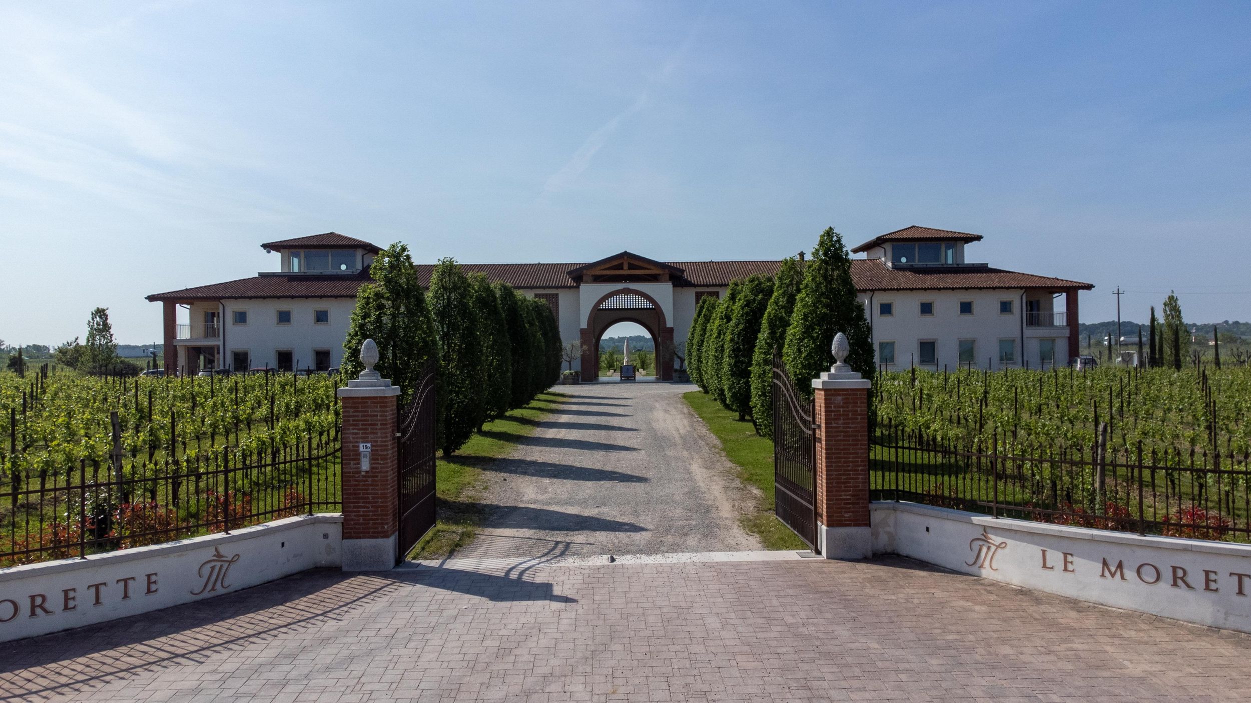 Lugana Special: Tour und Verkostung zur Entdeckung der Region