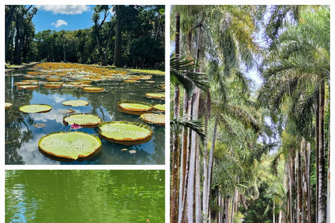 Mauritius: Private Ganztagestouren in den Norden