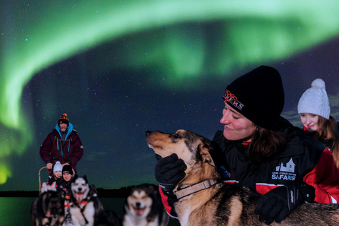 Rovaniemi: Aurora Husky Safari Through the Forest