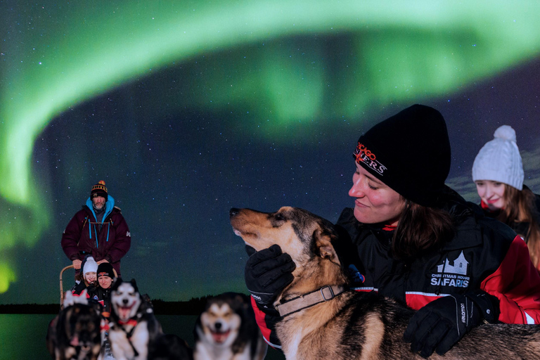 罗瓦涅米：极光哈士奇穿越森林之旅罗瓦涅米：穿越森林的极光哈士奇之旅