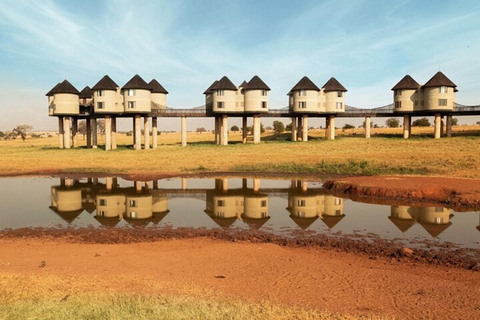 Tsavo East and Salt Lick Safari Lodge 2-Day Tour