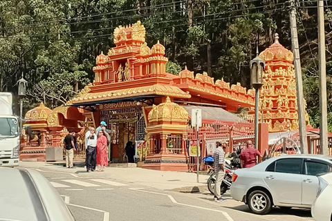 Nuwara Eliya To Ella With Pure Magical Mountain Way Kandy To Ella drop-off (Optional Nanuoya train ride)