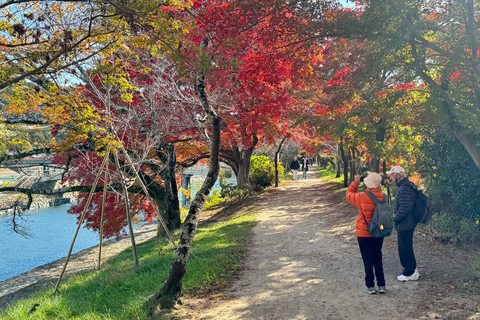 Uji &amp; Fushimi Inari Adventure: Tea, Temples, and Torii Gates