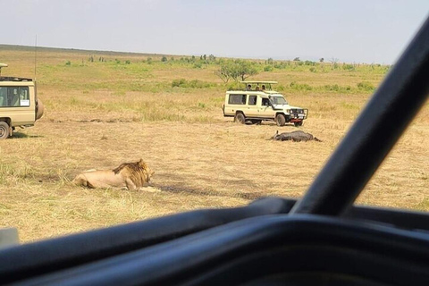 Nairobi National Park Privé Halve Dag Tour met Pick Up