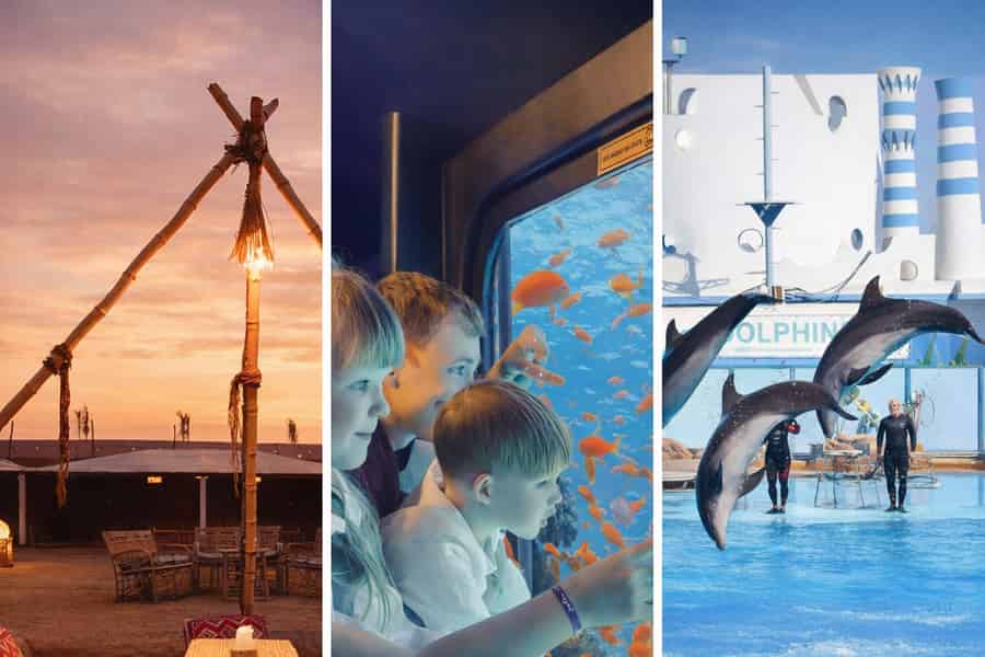 Hurghada: Delfinshow, Schnorcheln, U-Boot und Beduinentour. Foto: GetYourGuide