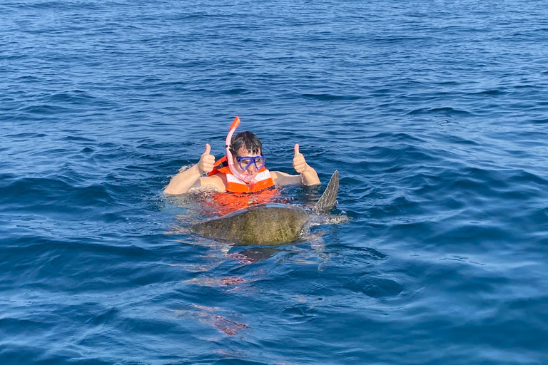 Puerto Escondido: Bootstour zu Delfinen und MeerestierenPrivate Tour