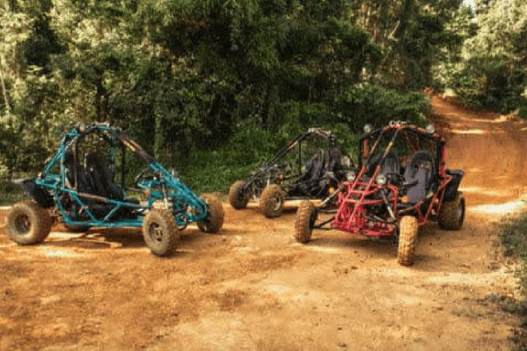 Toa Alta, PR : Aventure en buggy tout-terrain ( ATV )