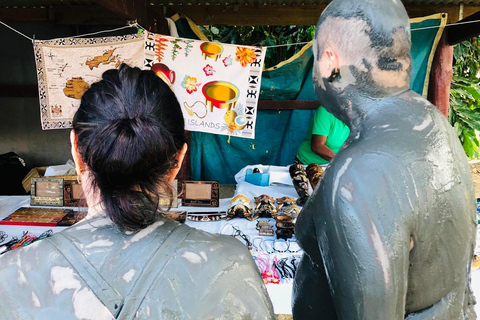 Ogród orchidei, wędrówka nad wodospad i gorące źródła SabetoFiji Marriott Resort/Queens Wharf Lautoka /Tanoa Waterfront