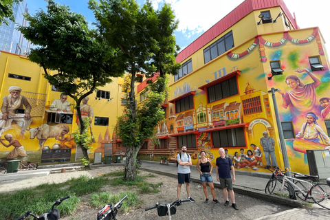 Singapore: Food and Bike Tour - Downtown