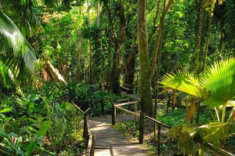 NADI: wycieczka po wykwintnym ogrodzie storczyków z gorącym źródłem i basenem błotnymOdbiór z InterContinental Fiji/Yatule Resort