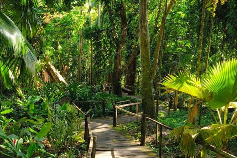 NADI: wycieczka po wykwintnym ogrodzie storczyków z gorącym źródłem i basenem błotnymOdbiór z InterContinental Fiji/Yatule Resort