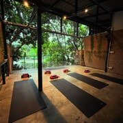 Koh Tao Island Yoga Class - All Levels Welcome