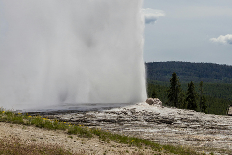 Las Vegas Round-trip| Yellowstone 7 Days Tour with Starlink Single Room
