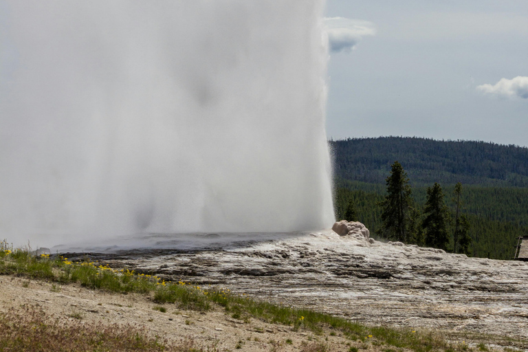 Las Vegas Round-trip| Yellowstone 7 Days Tour with Starlink Single Room