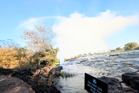 Victoria Falls Cross-Border Tour:Big Tree & Historic Bridge