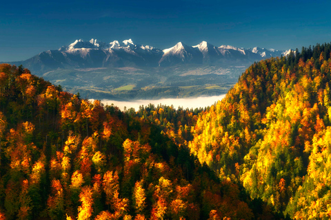 Thermal Baths and Zakopane Day Trip with Cable Car