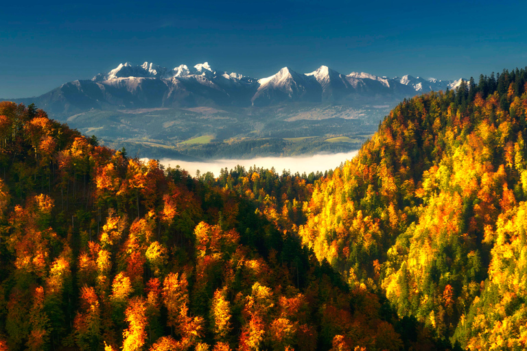 Thermal Baths and Zakopane Day Trip with Cable Car