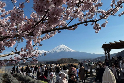 From Tokyo: Mount Fuji and Hakone Private Customizable Trip From Tokyo: Mount Fuji and Hakone Full Customizable Trip