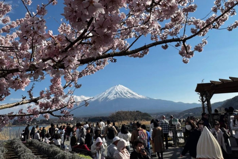 From Tokyo: Mount Fuji and Hakone Private Customizable Trip From Tokyo: Mount Fuji and Hakone Full Customizable Trip