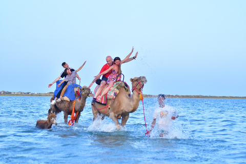 Djerba 1H30 balade à dos de chameau