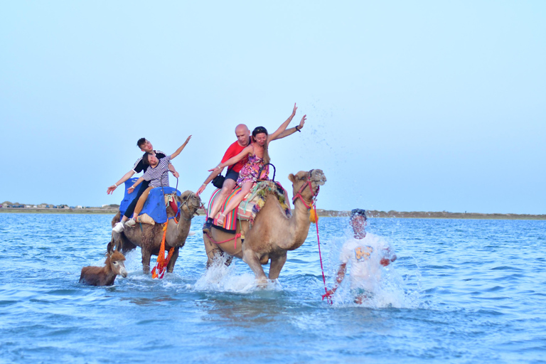 Djerba 1H30 Camel ride