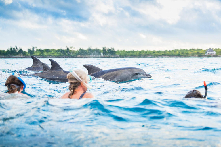 Zanzibar : Prison Island Spice Tour. Observation des dauphins avec déjeuner