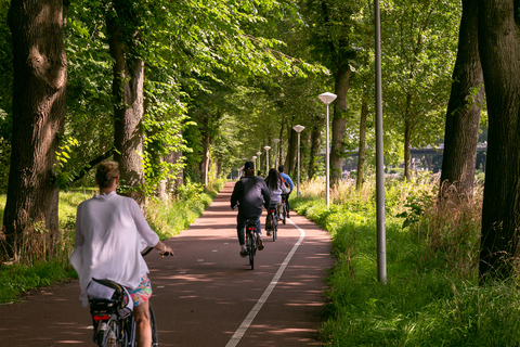 Amsterdam: 3-stündige E-Bike-Tour mit Windmühlen & Käse