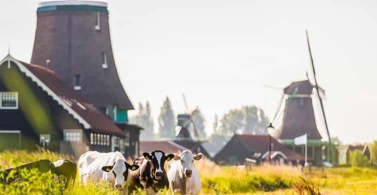 From Amsterdam: Zaanse Schans, Volendam & Marken Guided Tour photo 7