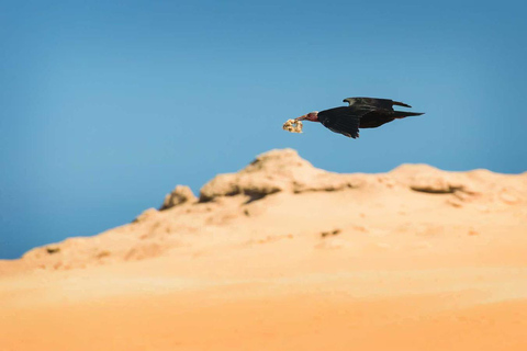 Agadir: Berber Villages & Taghazout Guided Tour with Pickup