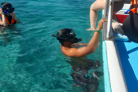 Discover an amazing reefsnorkel tour from Cancun!