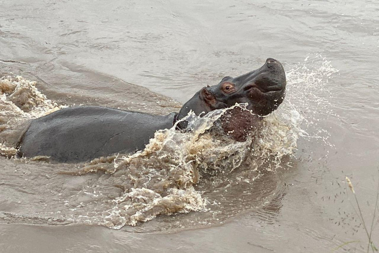 3-Day 2-Nights Maasai Mara Big 5 Safari All Inclusive