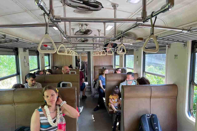 Beyond the Rails: Curated Scenic Journey from Kandy to Ella