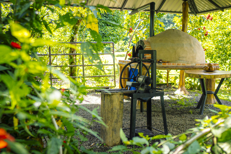 لا فورتونا: جولة الكسلان في متنزه بركان أرينال ووجبة خفيفة محلية