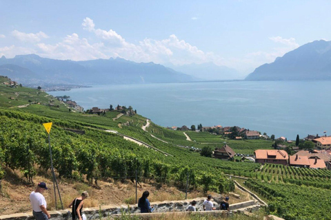 日内瓦：拉沃、谢布雷与瓦莱州品酒之旅日内瓦：拉沃、谢克斯布雷与瓦莱州品酒之旅