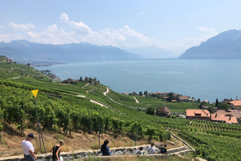 日内瓦：拉沃、谢布雷与瓦莱州品酒之旅日内瓦：拉沃、谢克斯布雷与瓦莱州品酒之旅