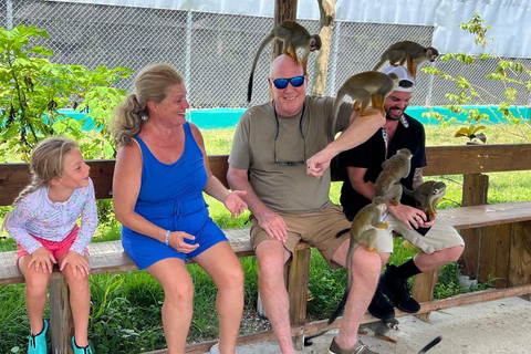 Puerto Plata: Saimiri Monkey Sanctuary, Exotic Flora, and Tropical Oasis